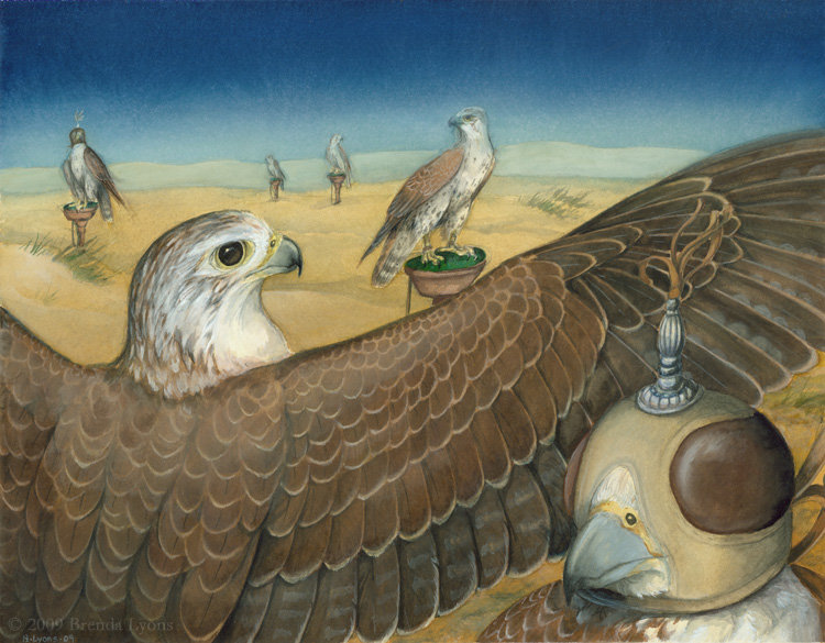 Thesis - Saker Falcon by windfalcon