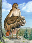 Red-Tailed Hawk Anthro