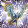 Thunderbird