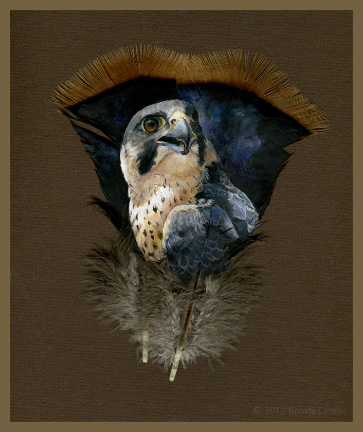 Peregrine Painted Feather