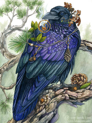 Sylvan Visions by windfalcon Sylvan Visions by windfalcon