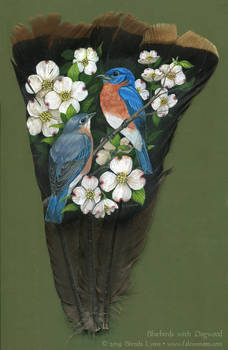 Bluebirds with Dogwood