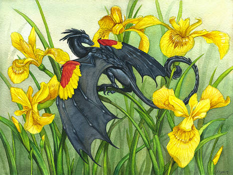 Red-Winged Blackbird Dragon