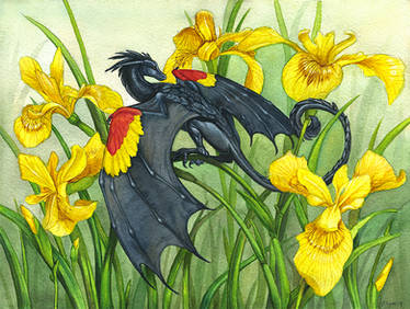 Red-Winged Blackbird Dragon