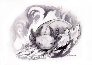 Inktober Day 13: Ash Axolotl by windfalcon