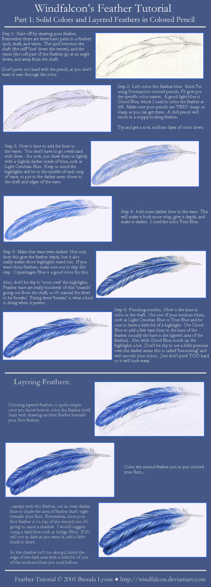 Peacock feather Tutorial - Coloured pencils - STEP BY STEP ART