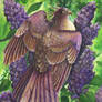 Lilac Nectarbird