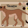 Tirunesh Reference Sheet