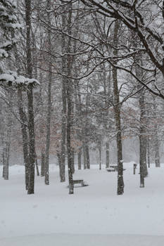Picnic anyone?