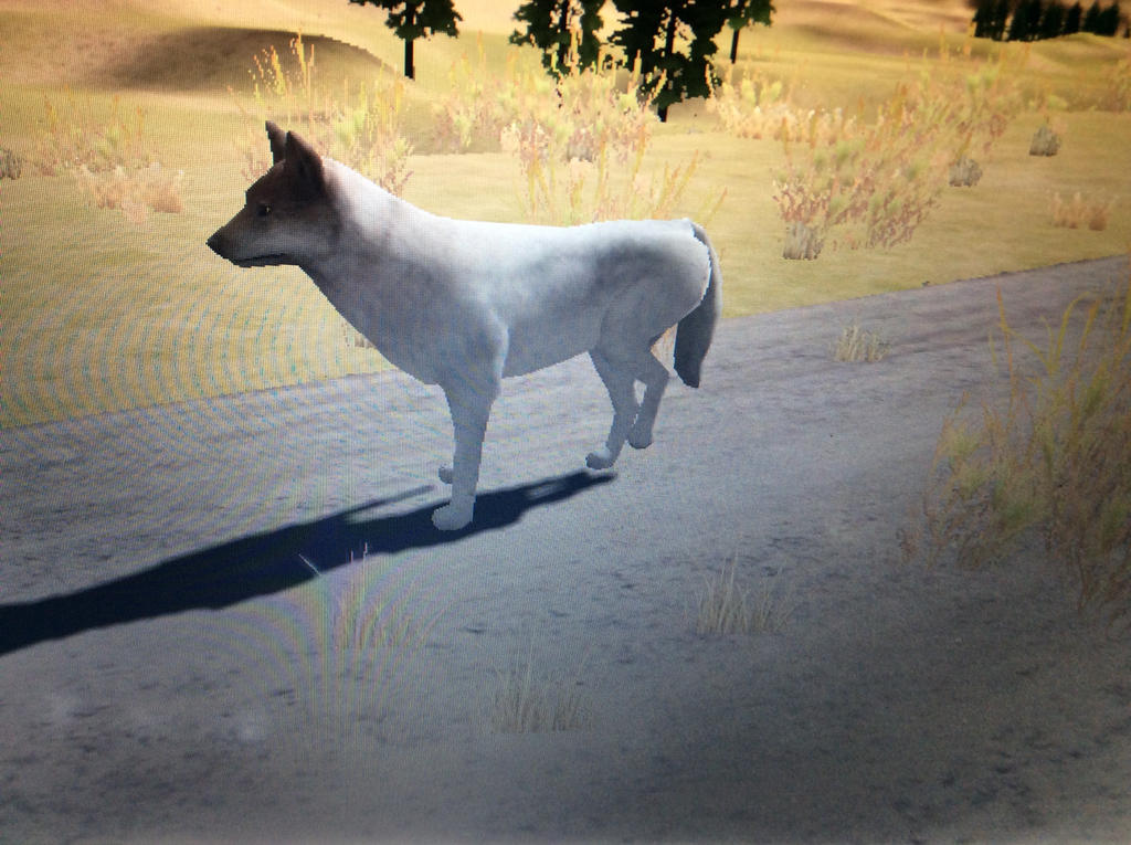 wolfquest 2.7 limpy feature by Redpaw4lifeIB on DeviantArt