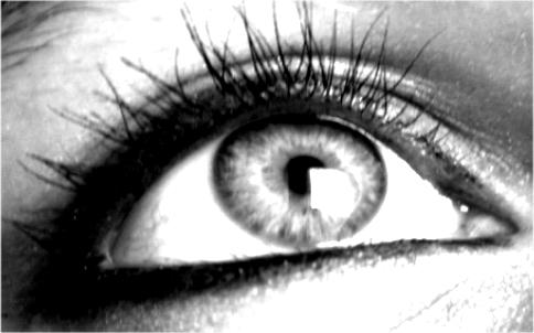 My eye