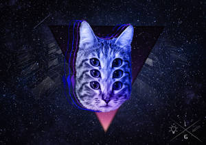 Space Cat