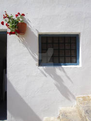 Window and flowers 1