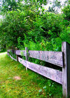 Country Fence