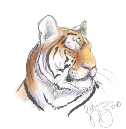 Tiger Headshot