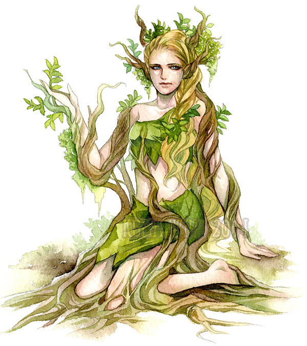 Wood Nymph by Ecthelian on DeviantArt