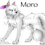 Moro Reference Sheet