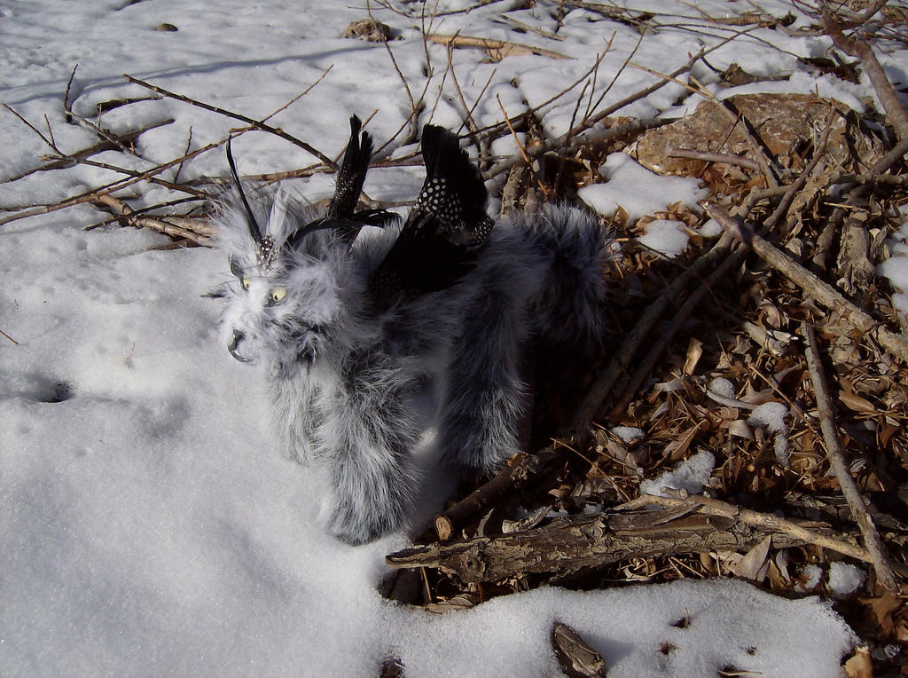 Northern Pooka - Winter Land