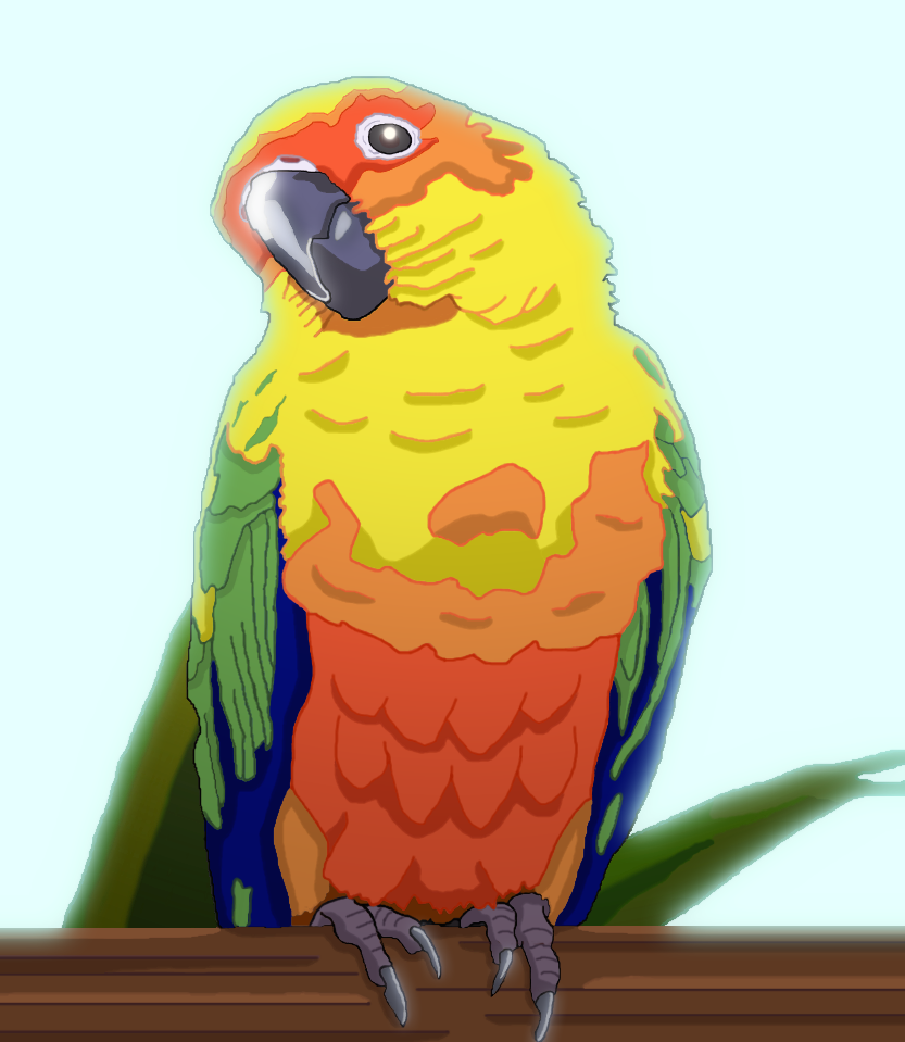 Sun Conure Drawing Tutorial TropicTom - Hobbyist, Traditional Artist | DeviantArt