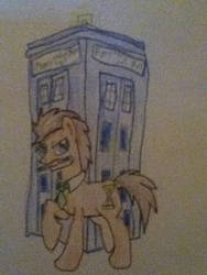 Doctor Whooves