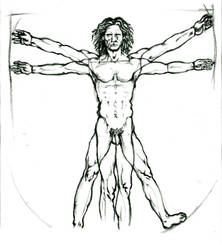 The Vitruvian Man