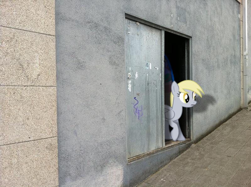 Derpy found our world - Ponies IRL 4