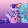 Rainbow Dash and Twilight