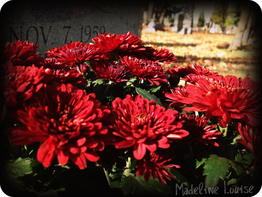 Flowers at a Grave