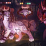 Cat adopt auction/ OPEN