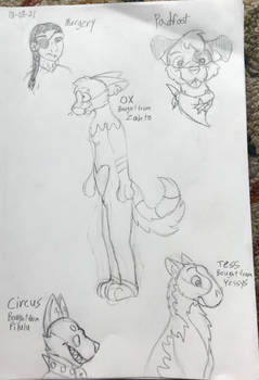Character Sketch Dump