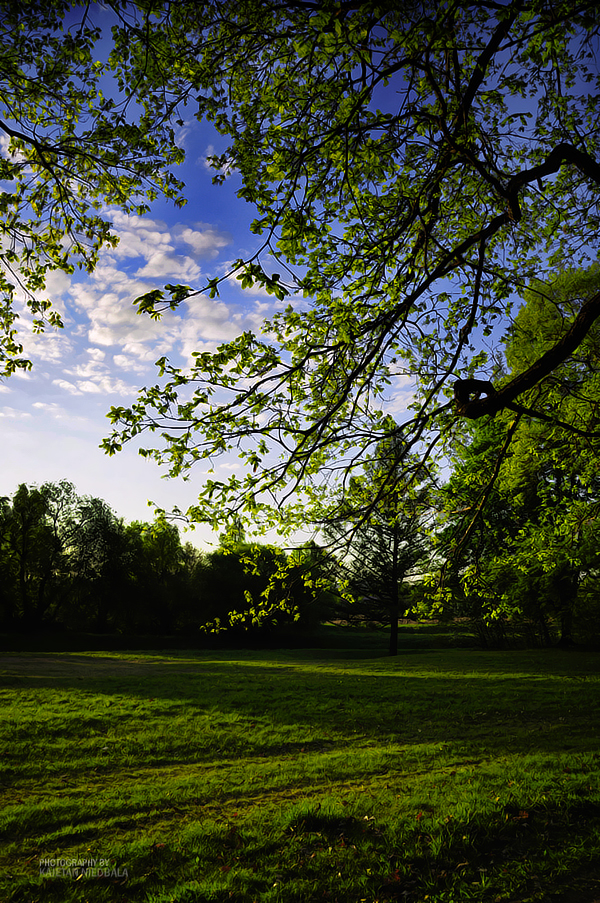 The Sound of Green II