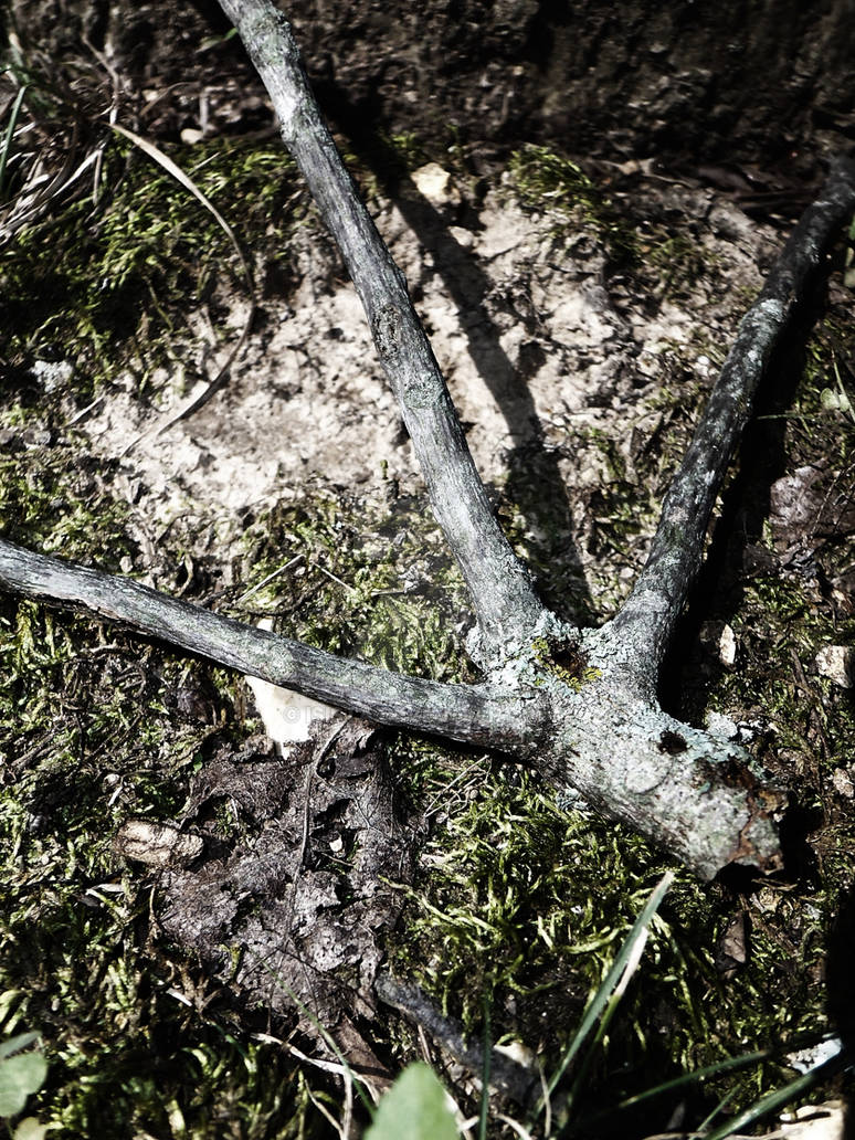 Clawed Hand by Isista on DeviantArt