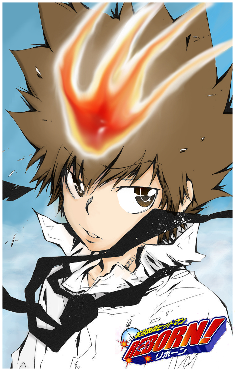 Sawada Tsuna - REBORN