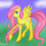 MlP:FiM - FlutterShy