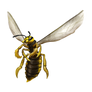 Giant Wasp