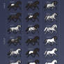 Canadian Donstrupper Appaloosa Genetics