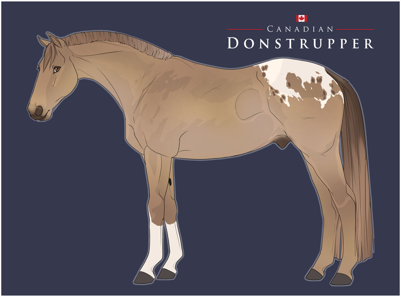 S174 Ici Bas By DonstrupperAdmin On DeviantArt