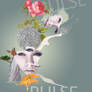 Pulse