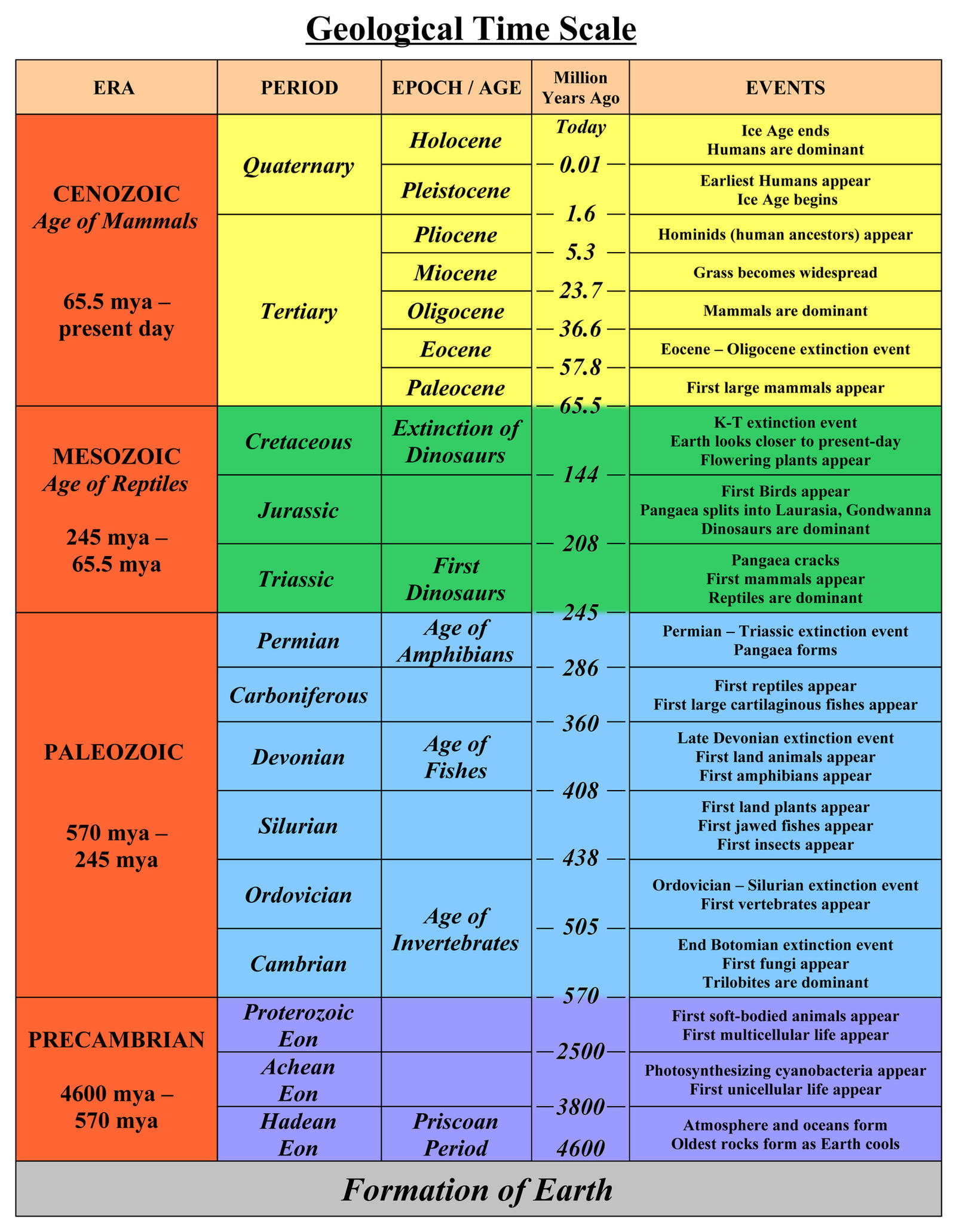 Geological Timeline Chart by AndyCKH on DeviantArt