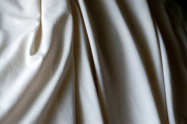 Cloth Texture 1
