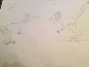 Utahraptors