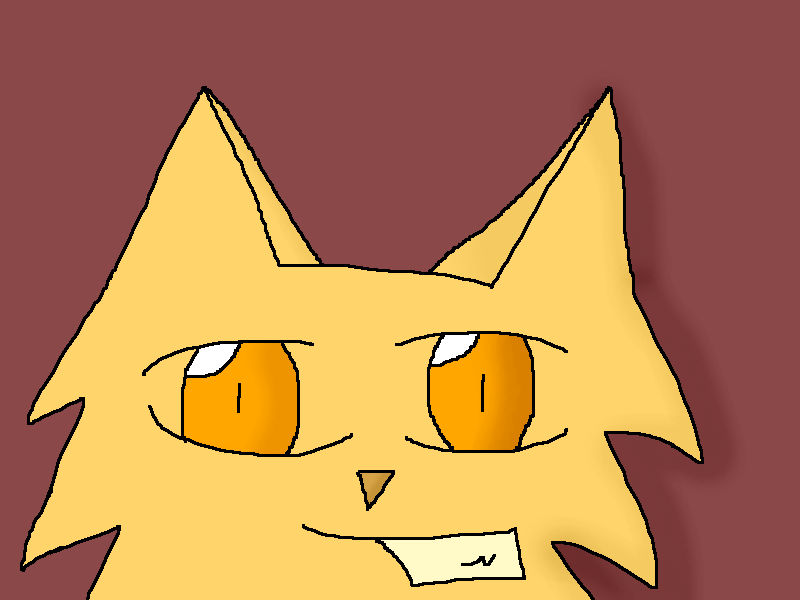 RANDOM KITTY by MarigoldP on DeviantArt