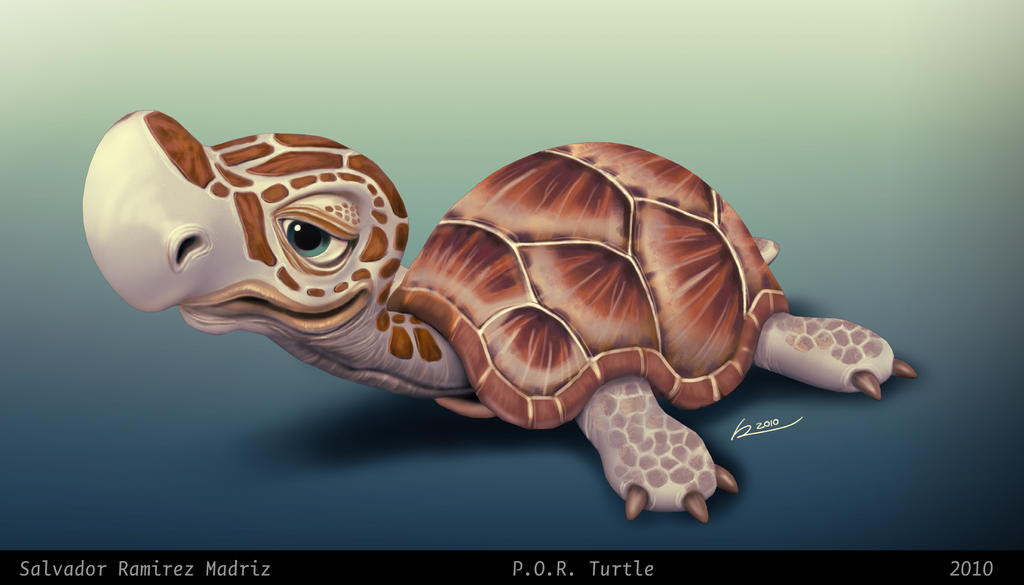 P.O.R. Turtle