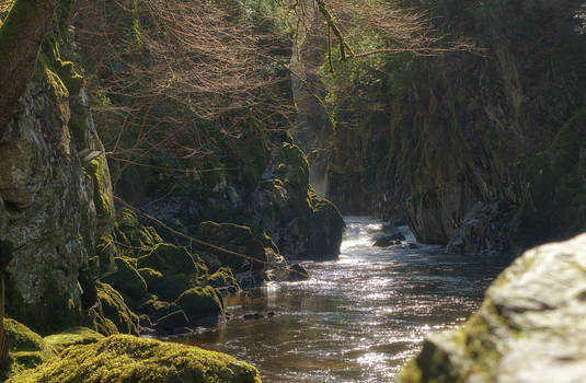 Fairy glen