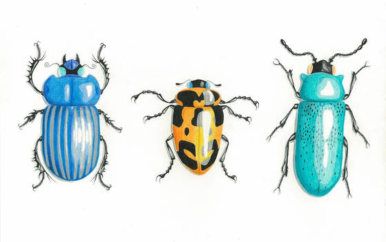 Three Beetle Bugs