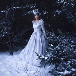 Winter's Bride