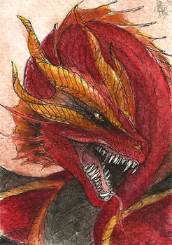 ACEO: The Heat