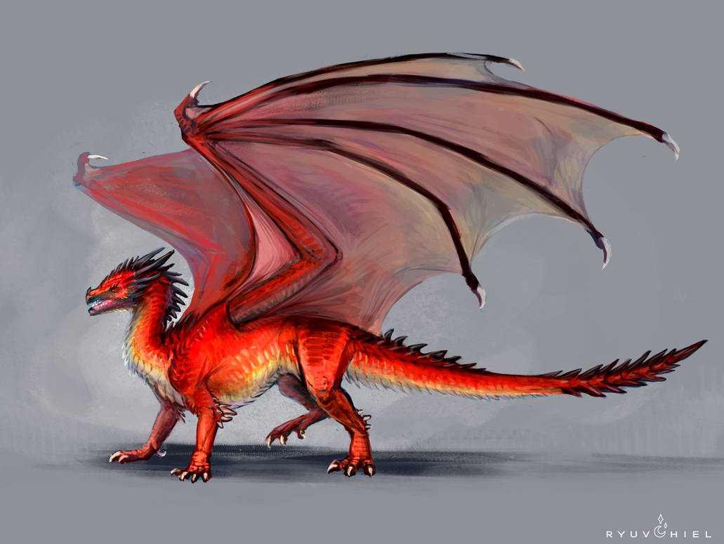 Fire Driagon Fire Dragon by Ryuvhiel on DeviantArt