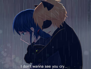 I don't wanna see you cry - MariChat