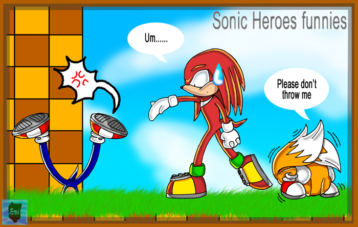 Sonic Heroes Funnie